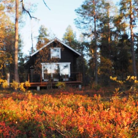 Lapintintti Eco-Cabin In Инари Экстерьер фото